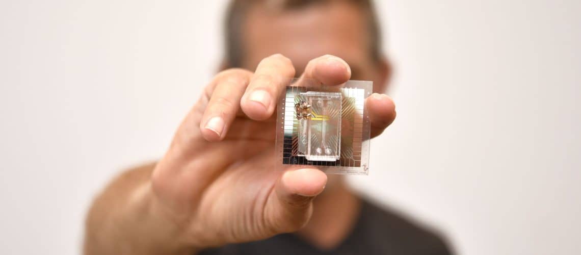 Scientist holding a chip